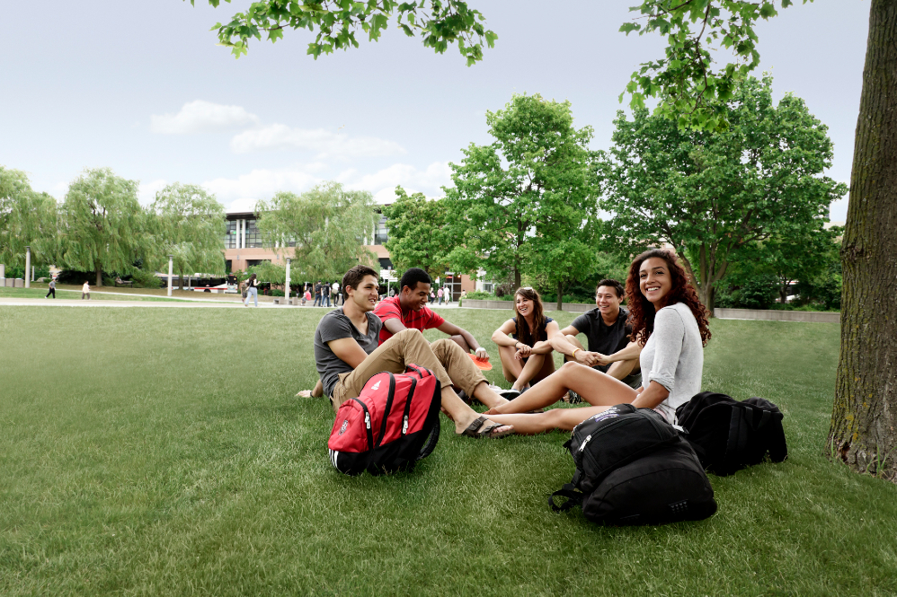 Group of students sitting on he grass on campus