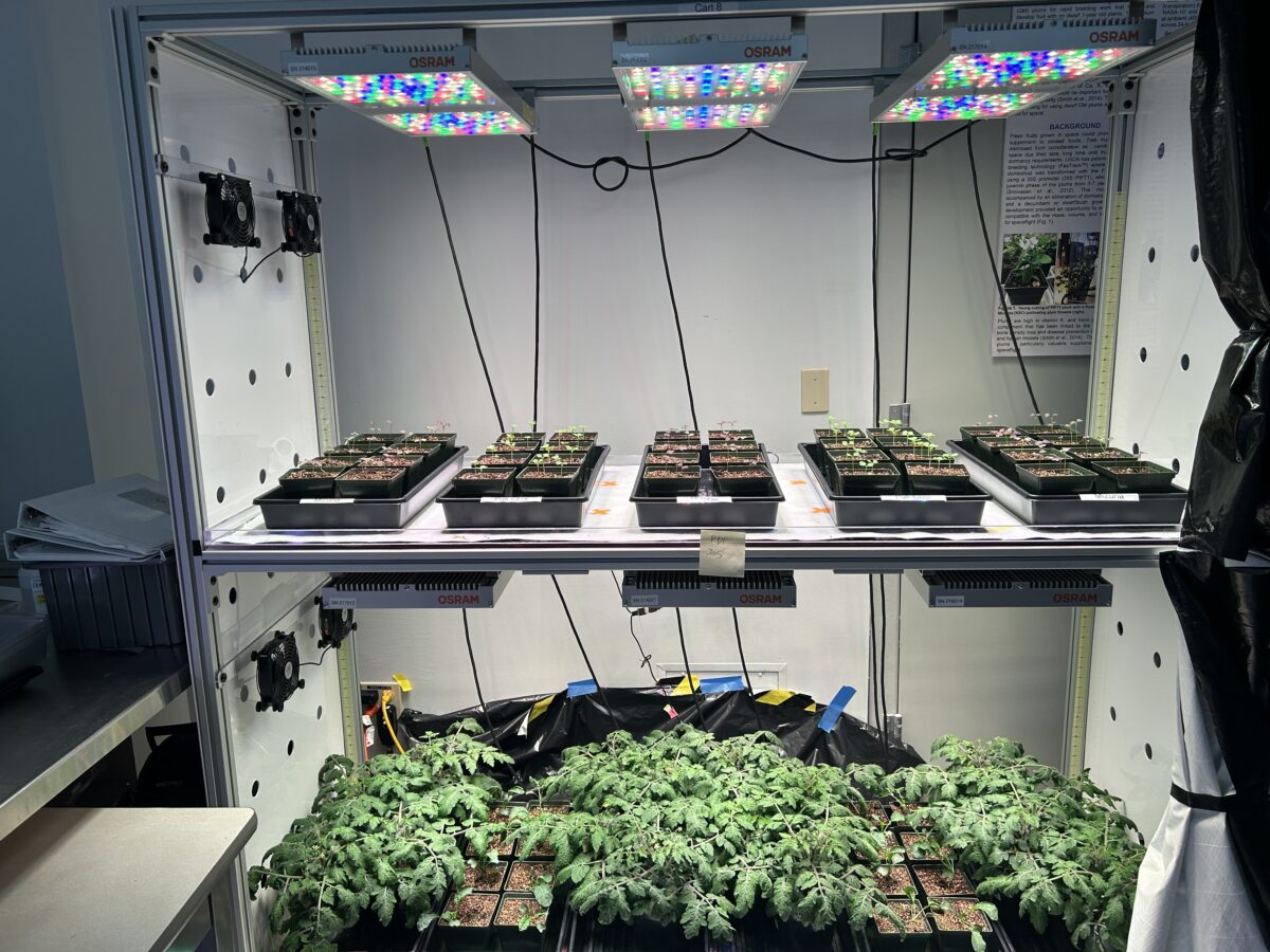 Space crop production experiments at NASA’s Kennedy Space Center