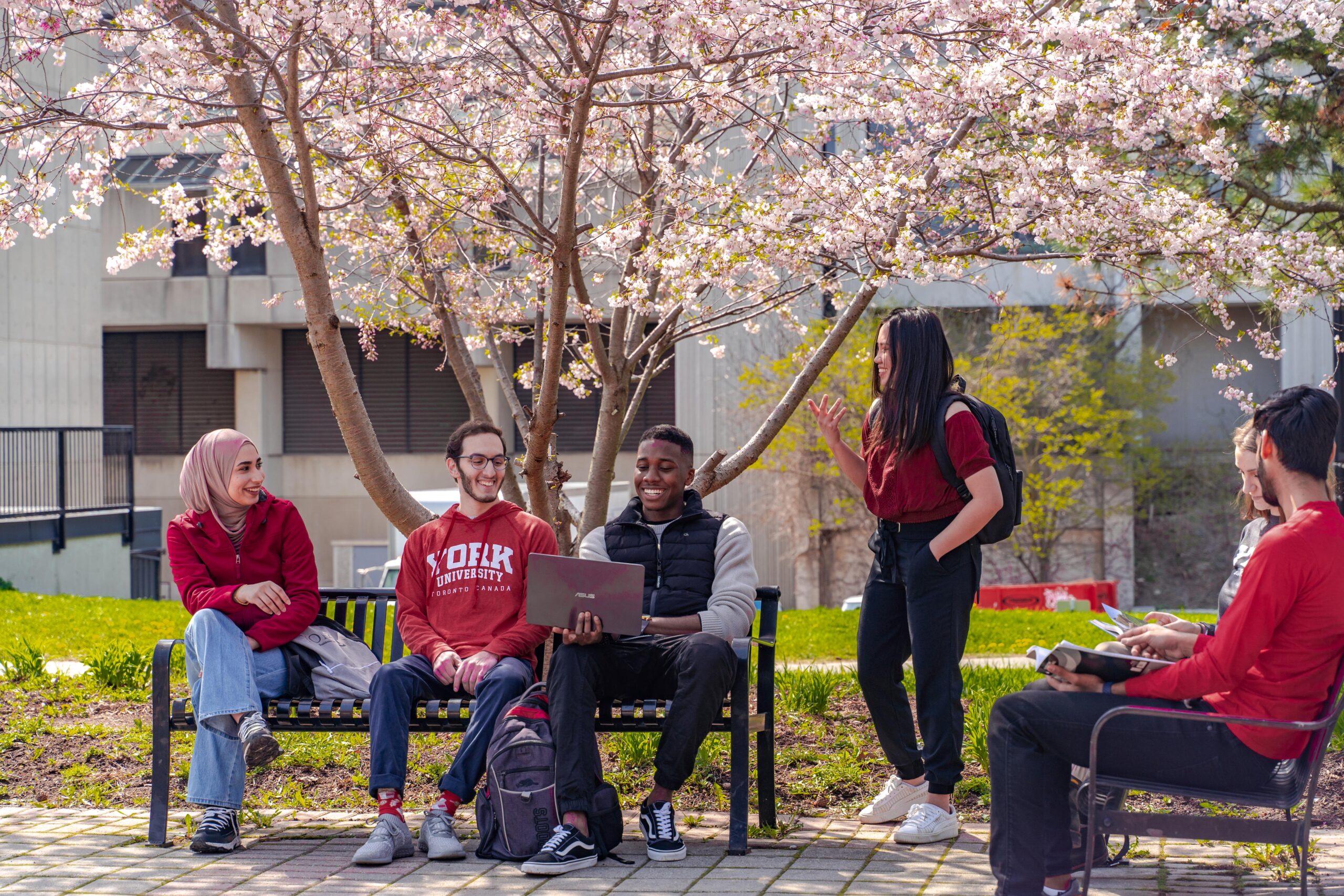 York students chatting outdoors, spring time