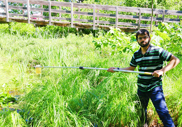 Dr. Patrik Kumar collects algal bloom samples