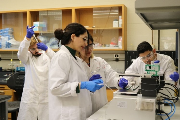 Student researchers working at LAB-HA