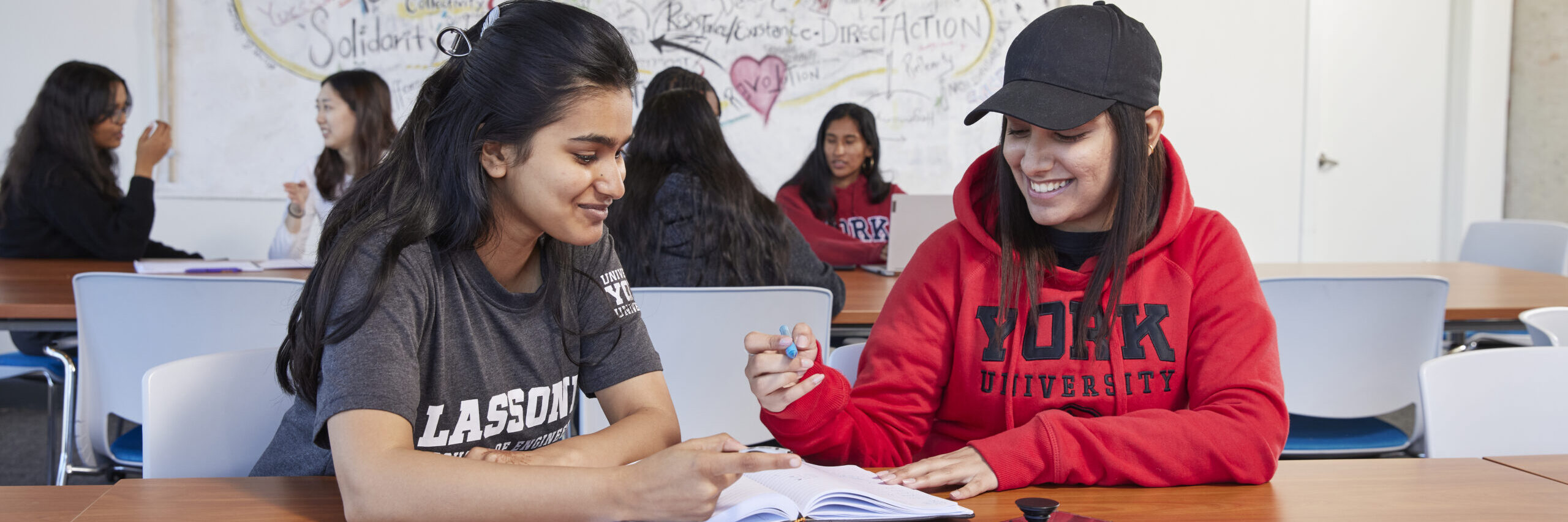 Two students studying together