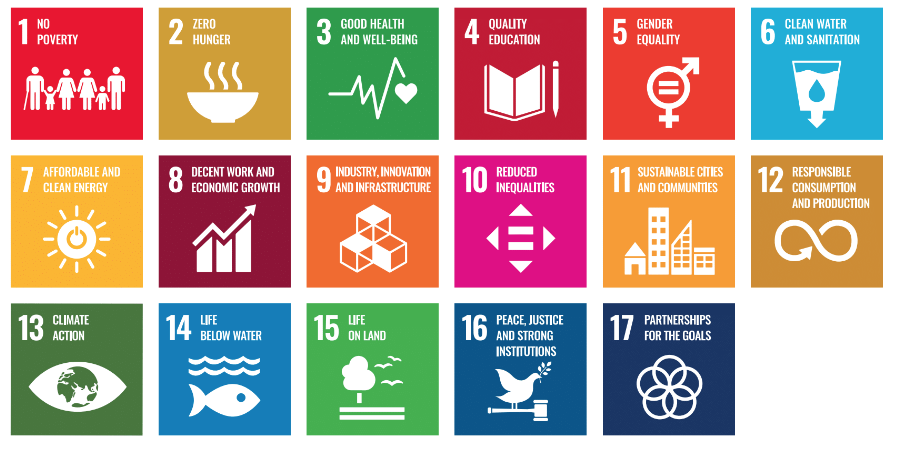 UN SDGs