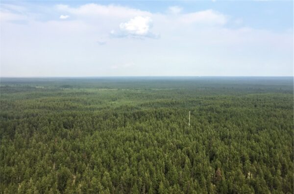 An ariel view of the York Athabasca Jack Pine tower and surrounding Boreal forest