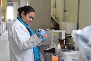 Professor Satinder Kaur Brar working in the lab. 